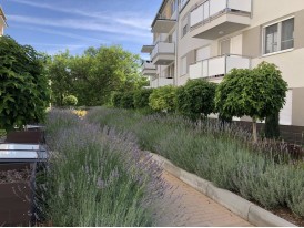 Kert a tetőn ?! Természetesen, megoldjuk!