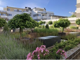 Kert a tetőn ?! Természetesen, megoldjuk!