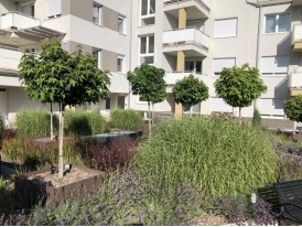 Kert a tetőn ?! Természetesen, megoldjuk!